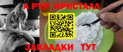 СК Надым